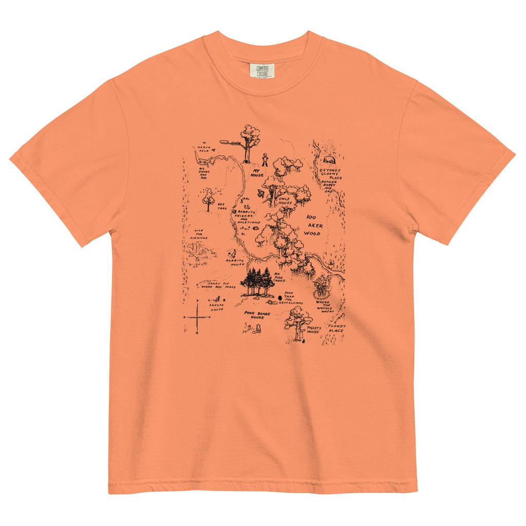 100 Acre Map Men's Relaxed Fit Tee product image 5