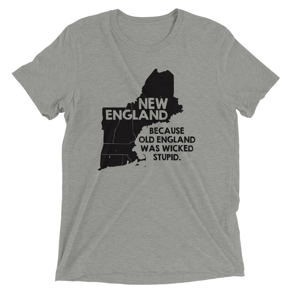 Rhode Island New England Men's Tri-Blend Tee product image 1