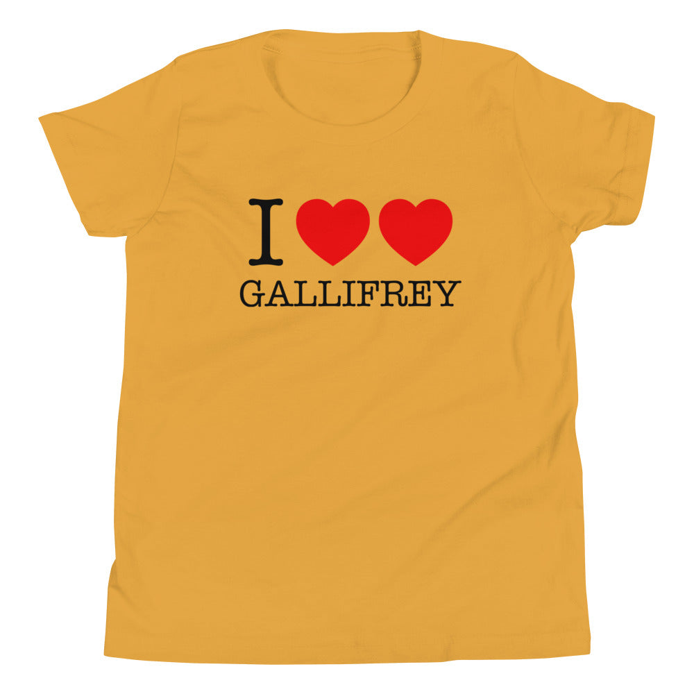 I Heart Gallifrey Kid's Youth Tee product image 4